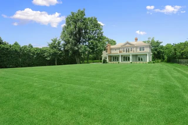 Grass