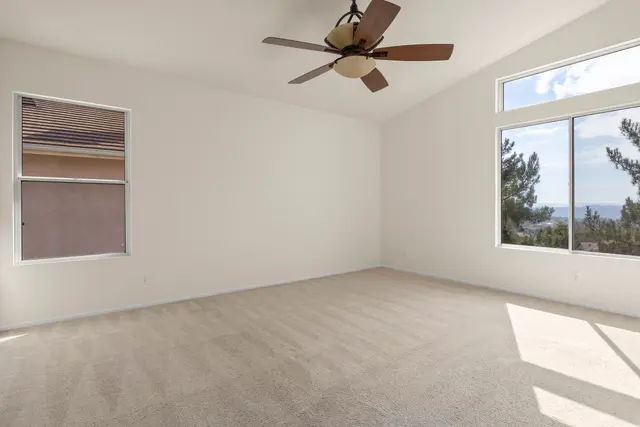 Gallery image 8